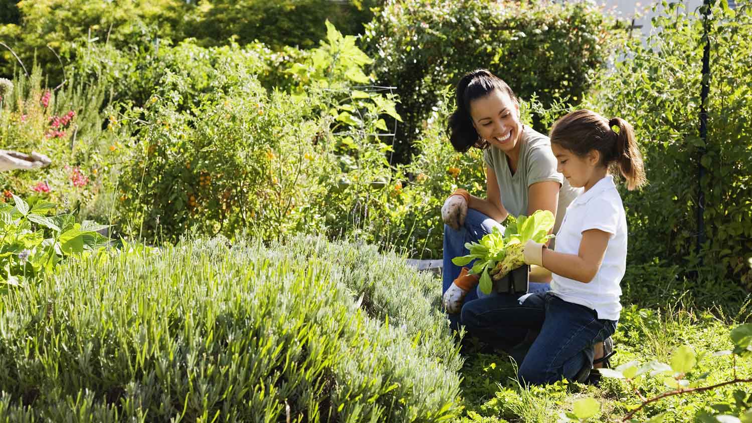 Woman using soil PH meter in her vegetable garden