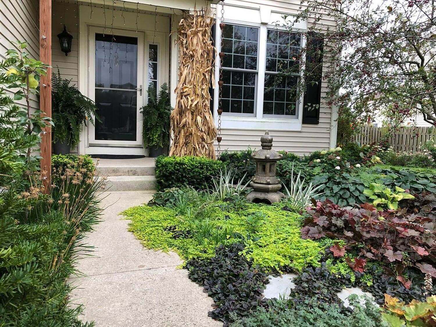 A shady front yard with a leafy ground