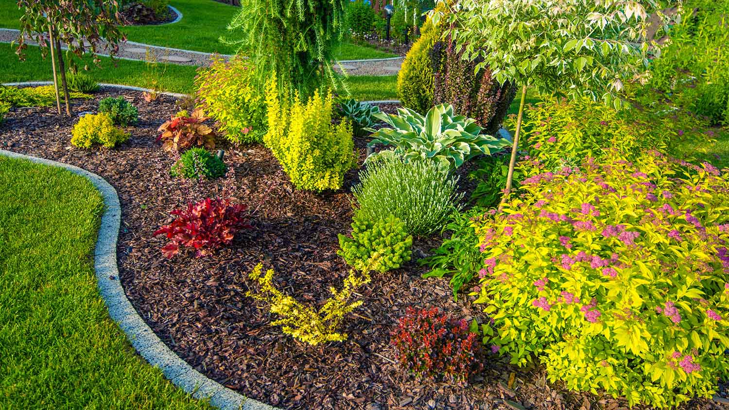 New garden design with natural mulch